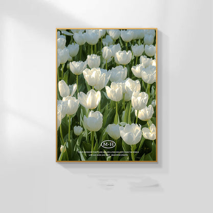 Quadro luminoso tulipani