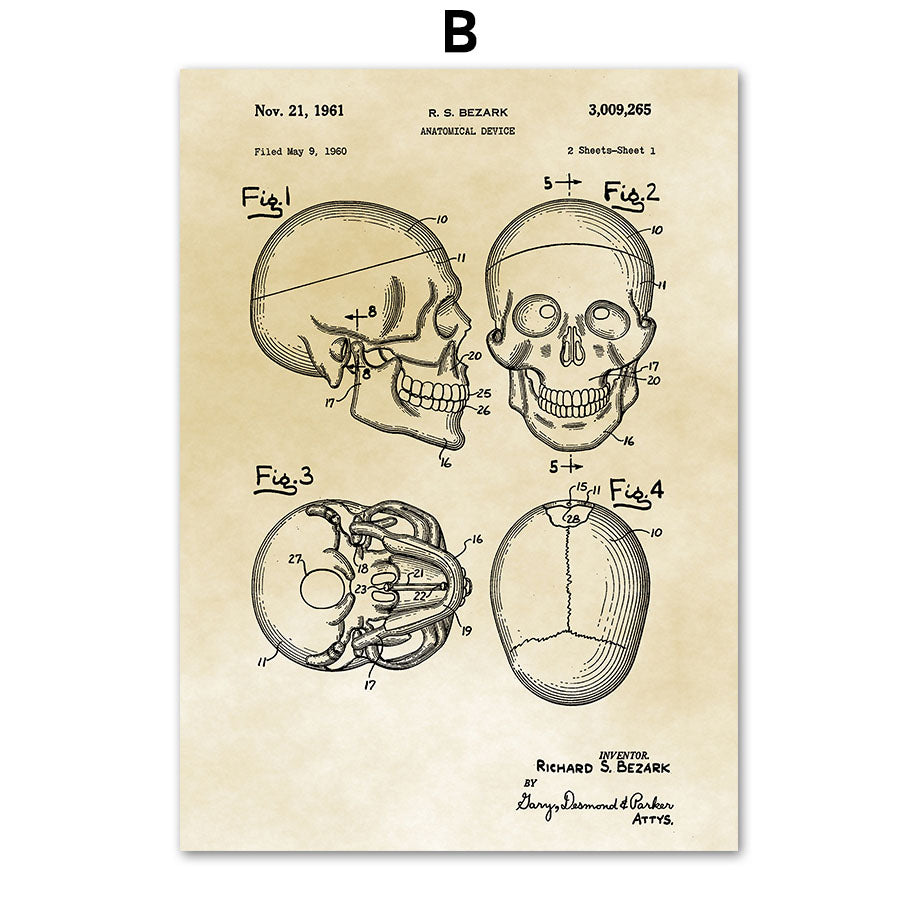 Tela Anatomia Vintage