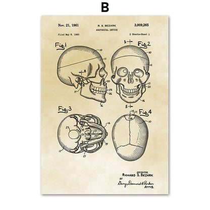 Tela Anatomia Vintage