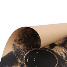 Poster Gatto con occhi