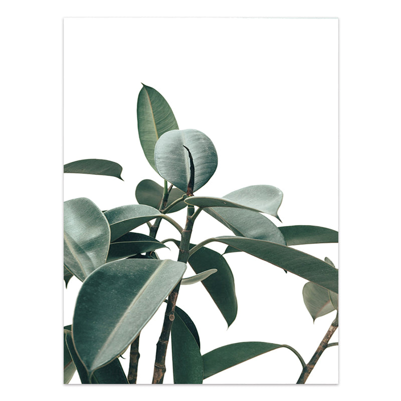Quadro Piante tropicali