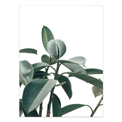 Quadro Piante tropicali