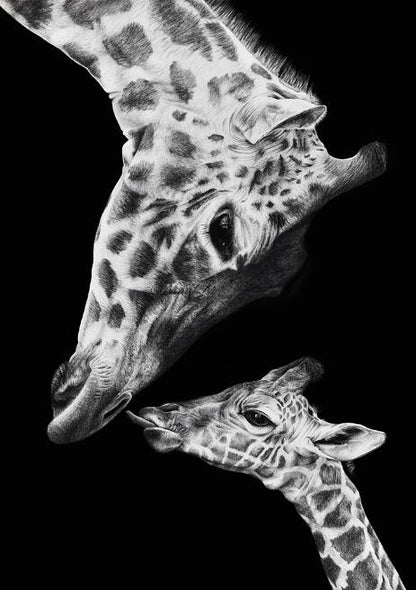 Tela Giraffa