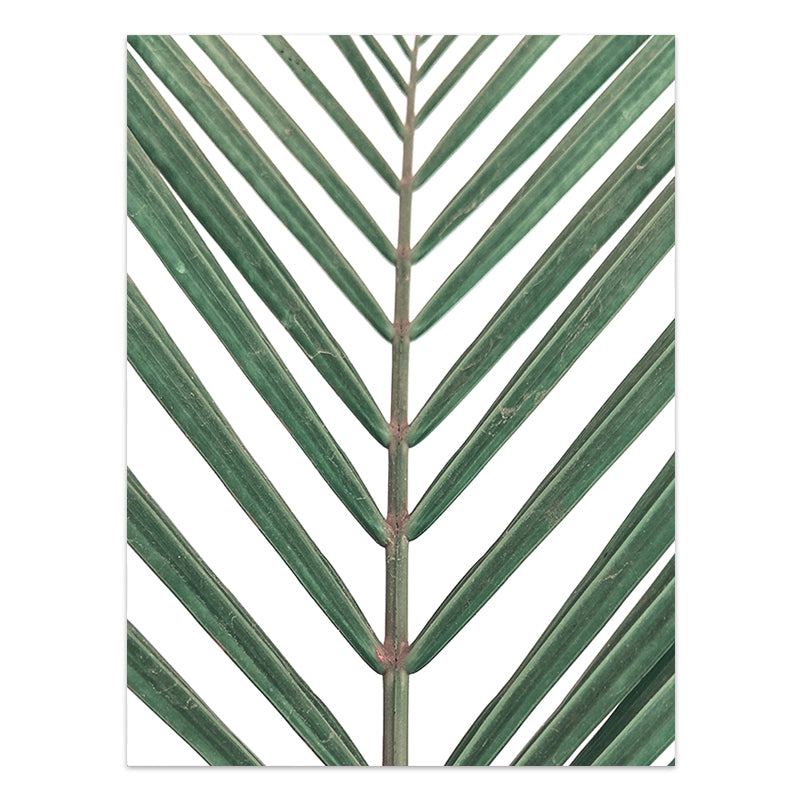 Quadro Piante tropicali