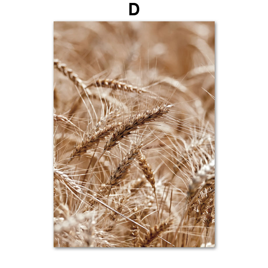 Stampa Paesaggio Naturale