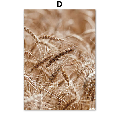 Stampa Paesaggio Naturale