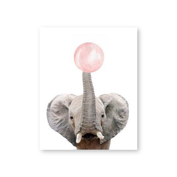 Kit pittura elefante