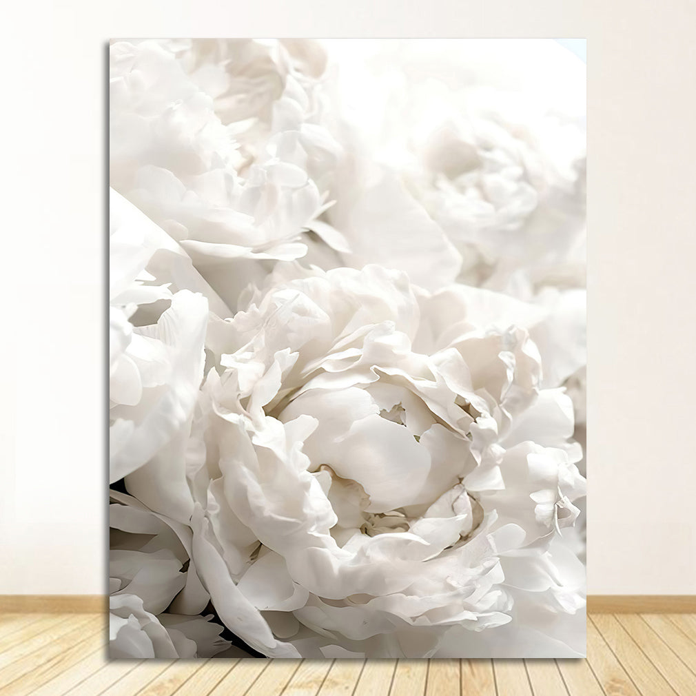 Poster fiori bianchi