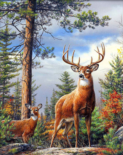 Quadro da dipingere