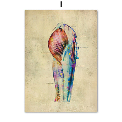 Poster Anatomico Retrò