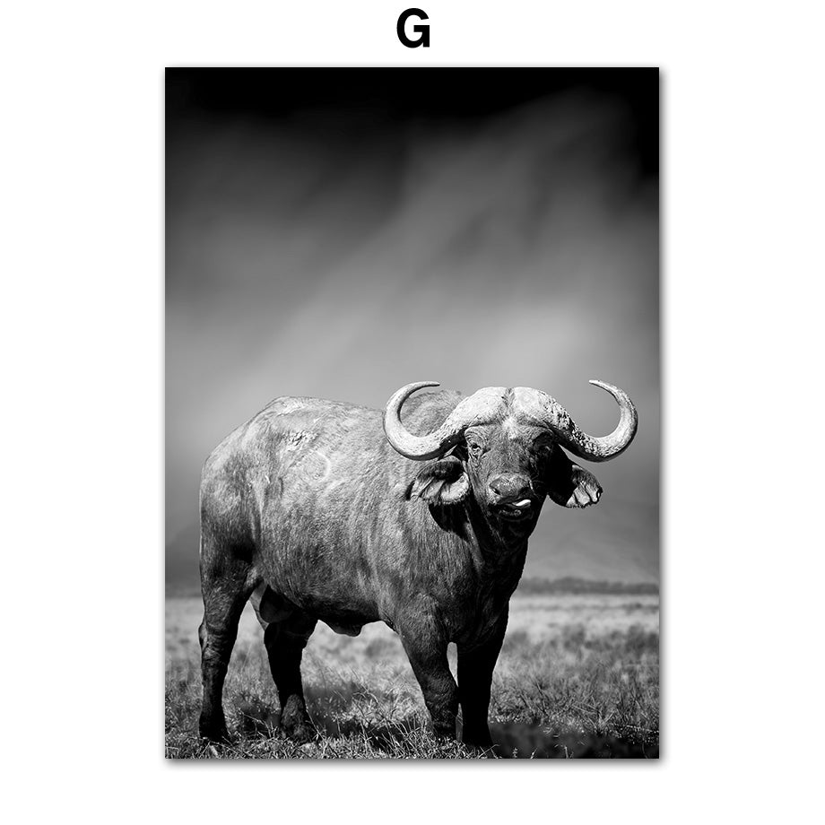Quadro animali
