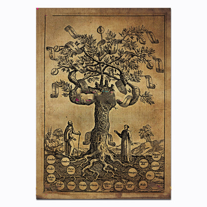 Quadro cucina