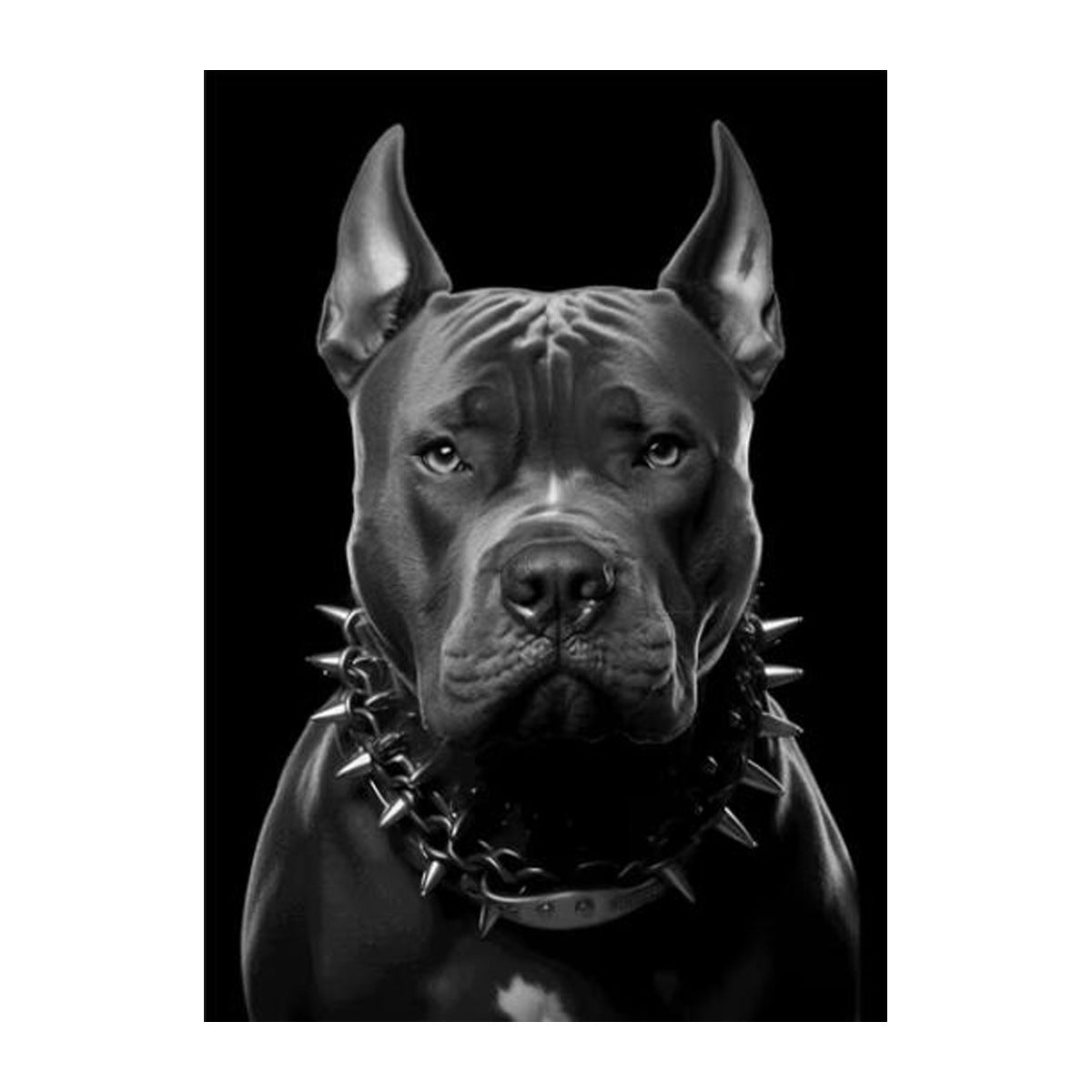 Poster cani