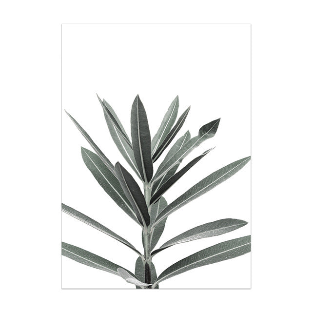 Tela Pianta Nordica