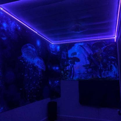 Tappezzeria cosmica