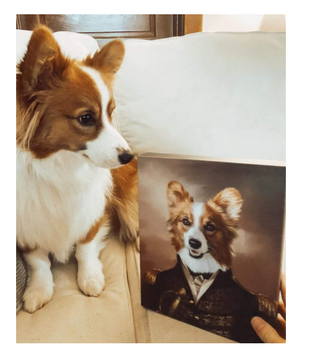 Quadro su tela Corgi in primo piano