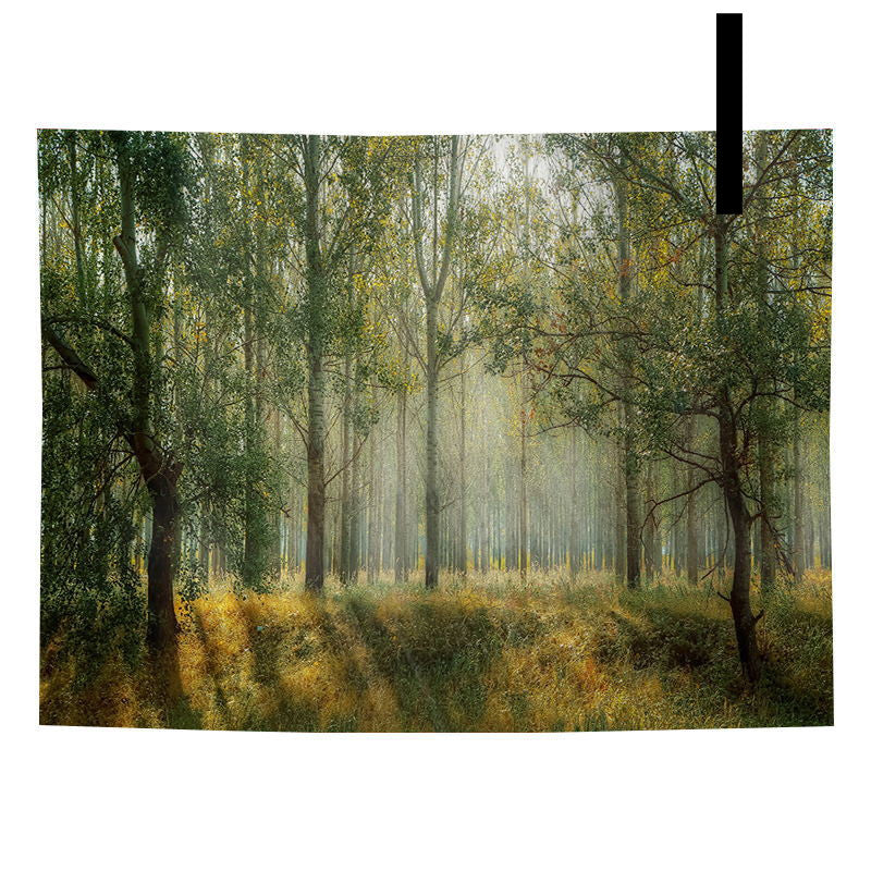 Tappezzeria Foresta Boema