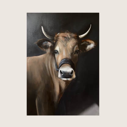 Acquerello Mucca