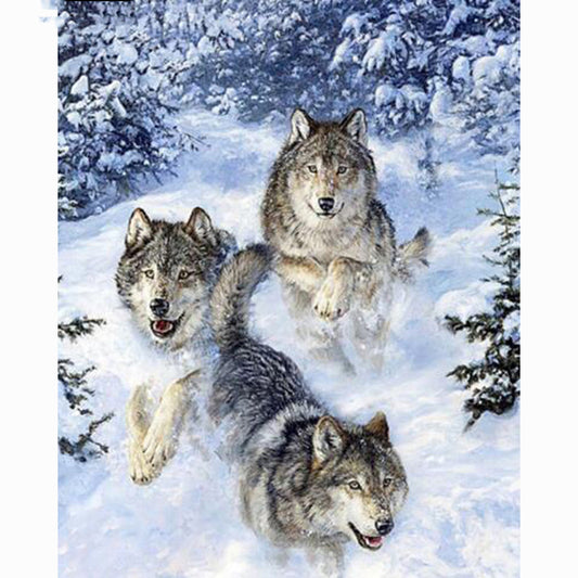 Quadro su tela Tre lupi nella neve