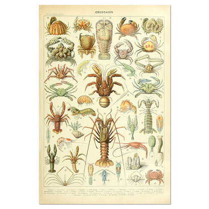 Poster Creature Vintage