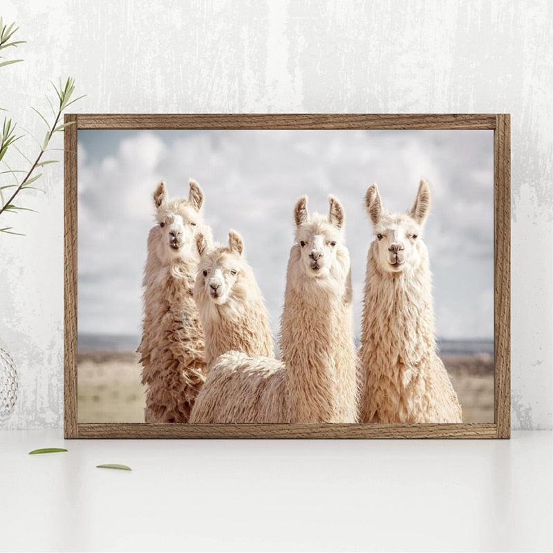 Quadro per Salotto
