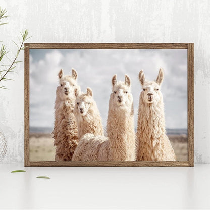 Quadro per Salotto