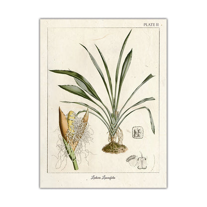 Quadro nordico