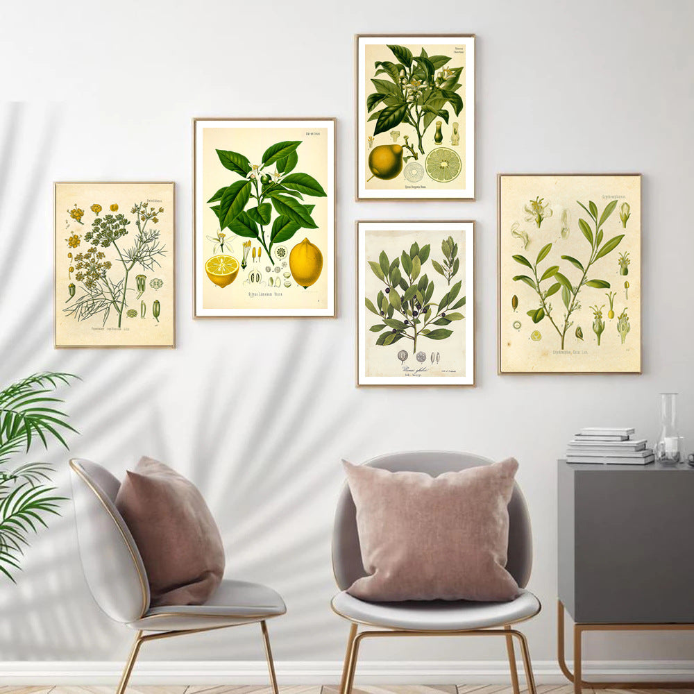Stampa Botanica Retrò