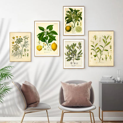 Stampa Botanica Retrò