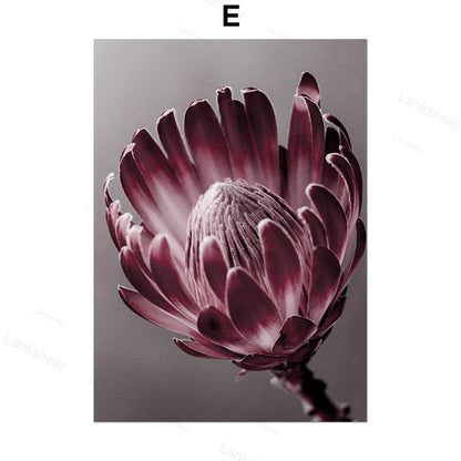 Quadro peonie