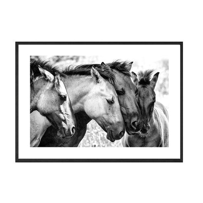 Quadro Cavallo Bianco e Nero