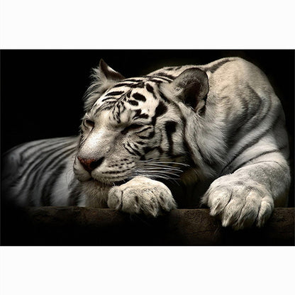 Quadro Testa di Tigre
